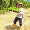 msfarmvillesgbesar