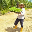 @msfarmvillesgbesar