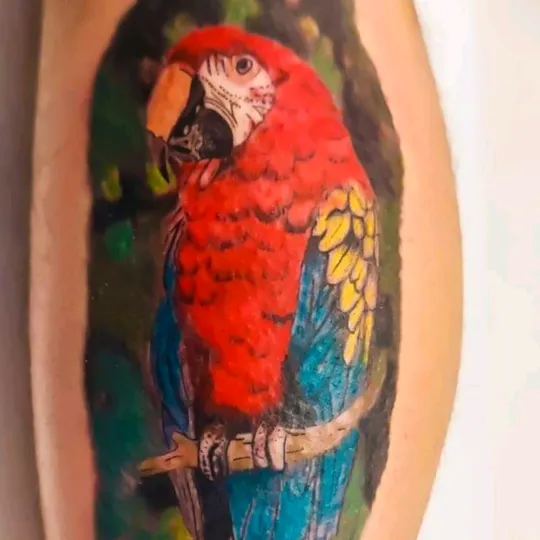 @annahajtotattoo