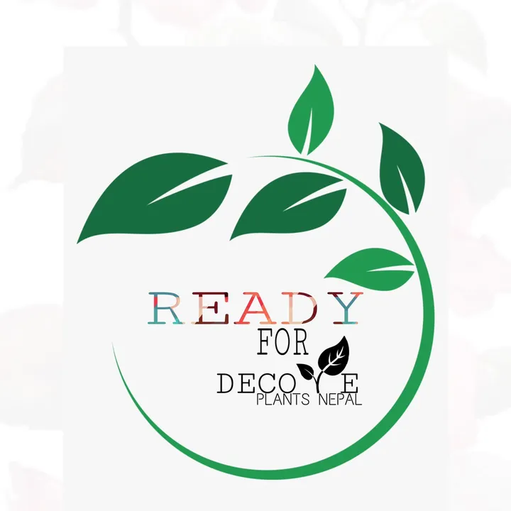 plants_for_house_decore