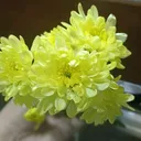 @cus26b
