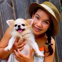 @wowwchihuahua_happy