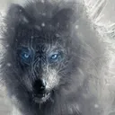 @apex_predator_wolf