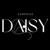 surprisedaisy