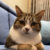 oahanji_923