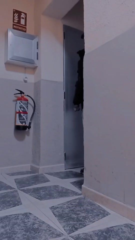 TikTok video thumbnail by el_niga.14