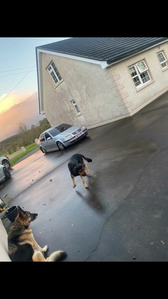 TikTok video thumbnail by conantimlin