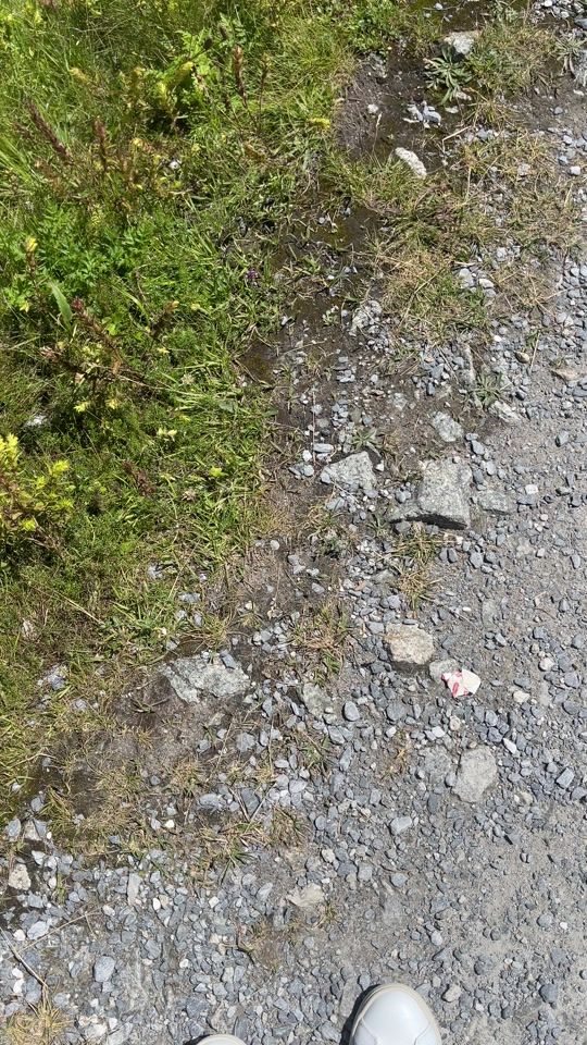 TikTok video thumbnail by tiklovrforever