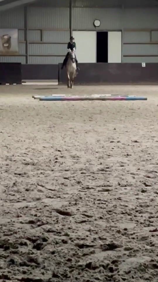 TikTok video thumbnail by .holzikstables
