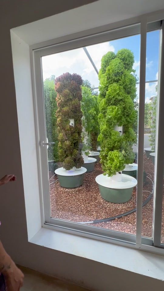 TikTok video thumbnail by agrotonomy