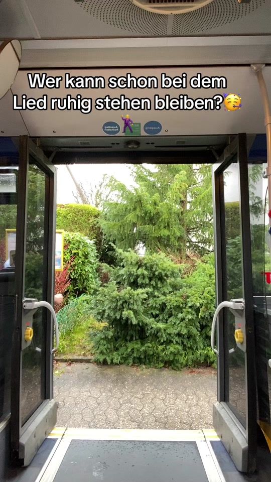 TikTok video thumbnail by anthonykasen