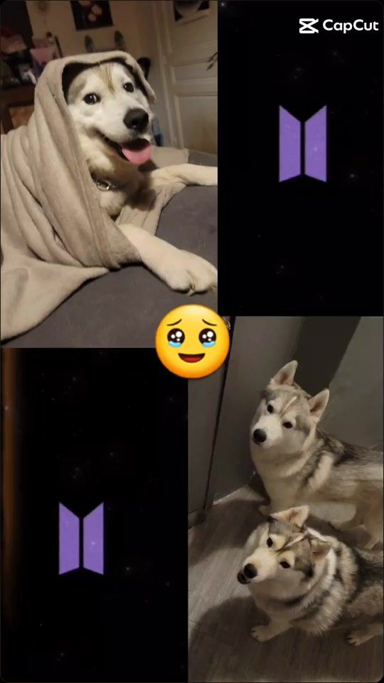 TikTok video thumbnail by olafdeb