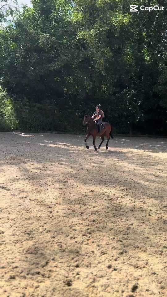 TikTok video thumbnail by willowledbrook