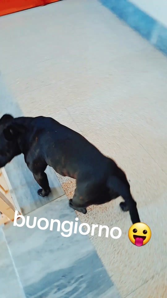 TikTok video thumbnail by violandaromano