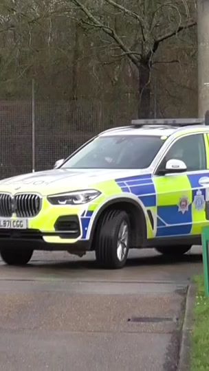 TikTok video thumbnail by emergencycatchesuk