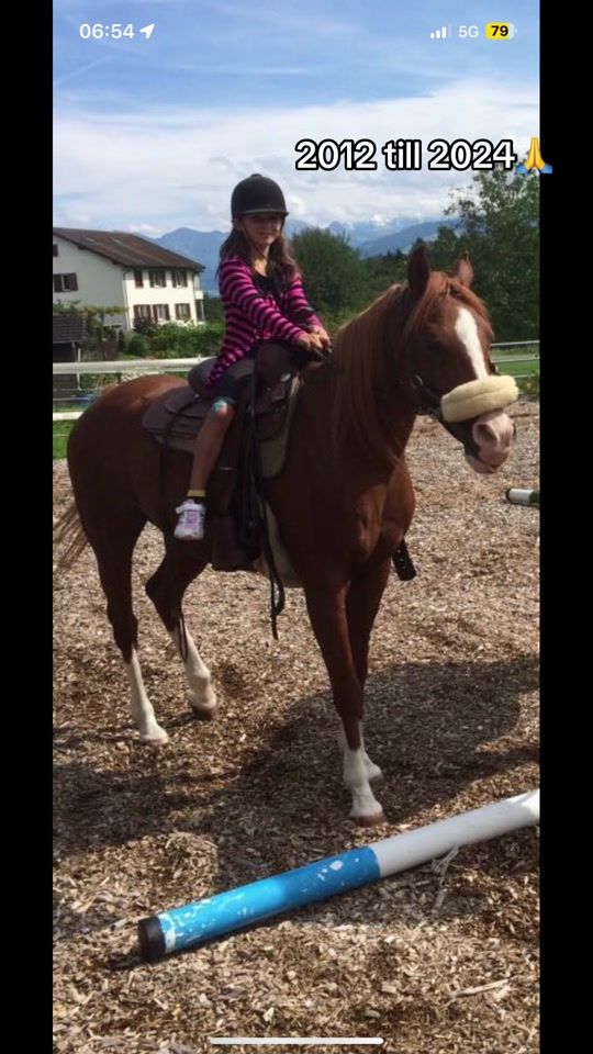 TikTok video thumbnail by equestrian_alisha