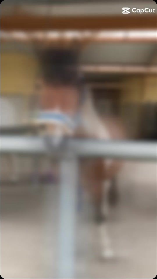 TikTok video thumbnail by maddoxlove23