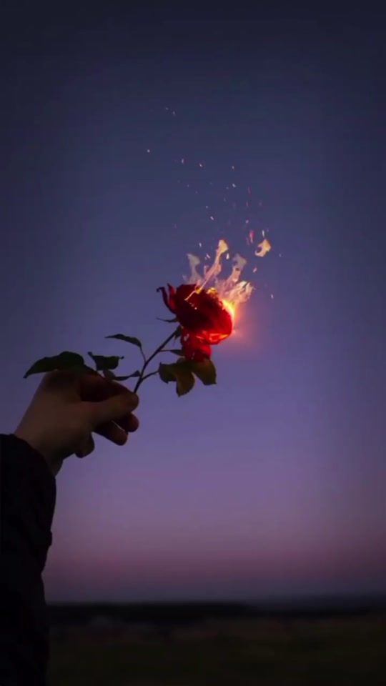 TikTok video thumbnail by wraithflo