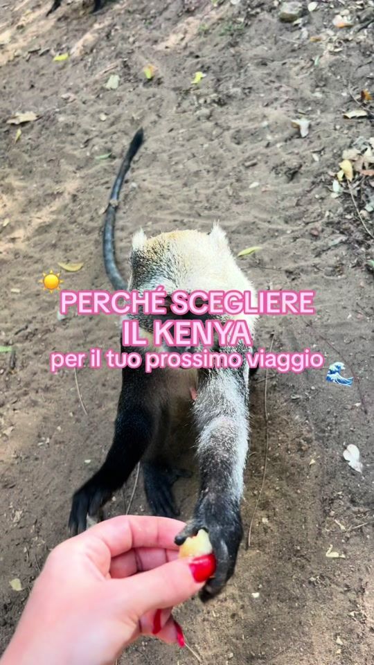 TikTok video thumbnail by valearoundtheworld