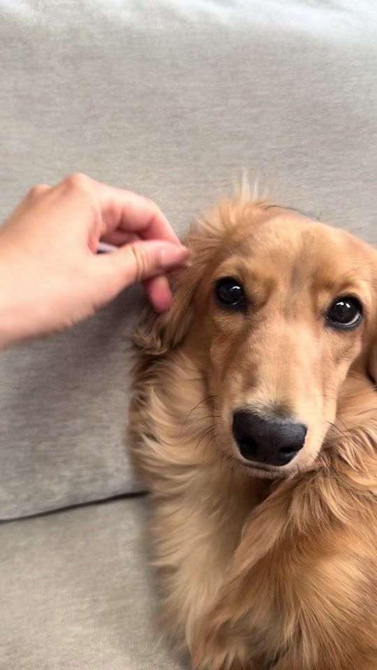 TikTok video thumbnail by faithadamsu