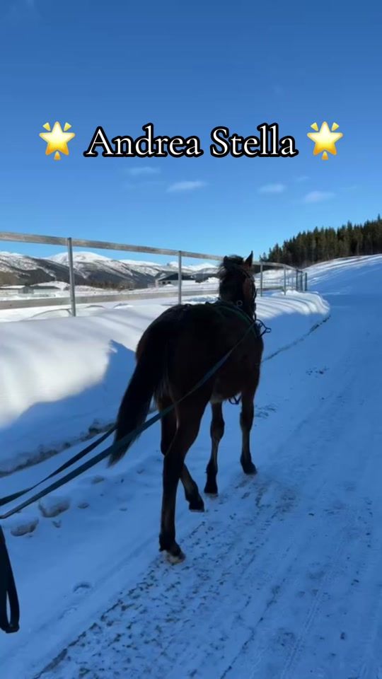 TikTok video thumbnail by yvaann0