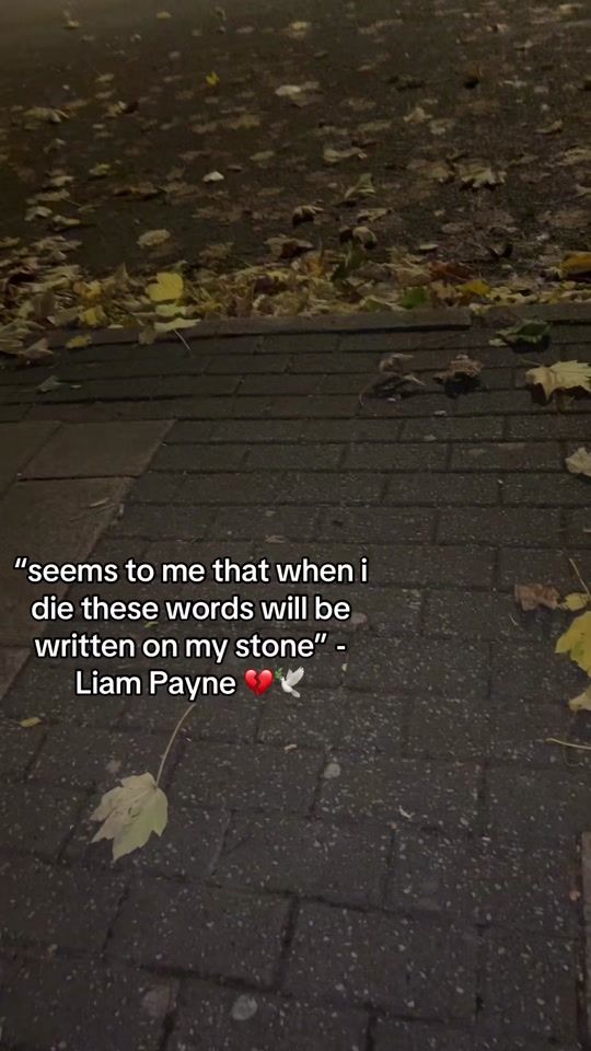 TikTok video thumbnail by faustinofitton_06