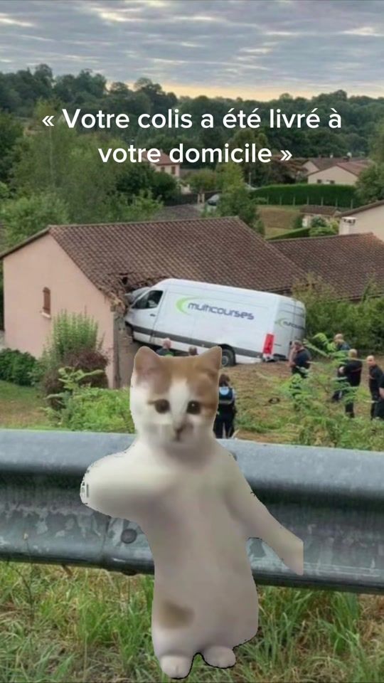 TikTok video thumbnail by guiguilefevre