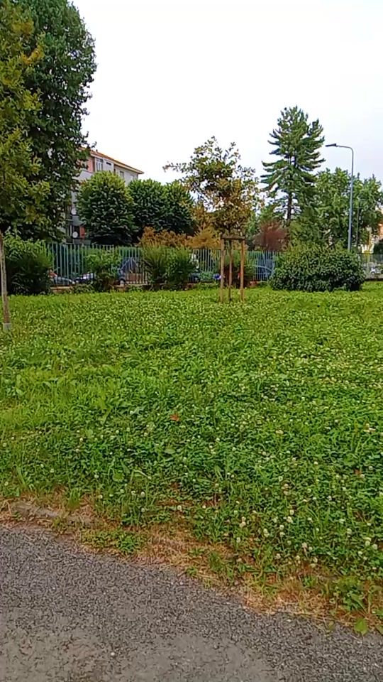 TikTok video thumbnail by user637365543