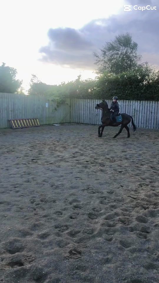 TikTok video thumbnail by willowledbrook