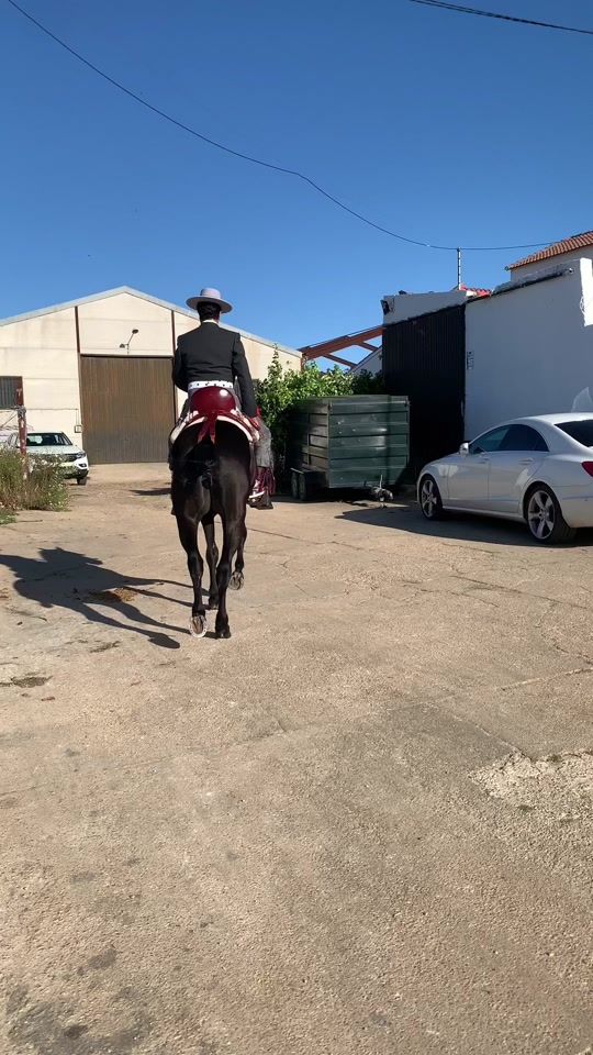 TikTok video thumbnail by felix.martinez51