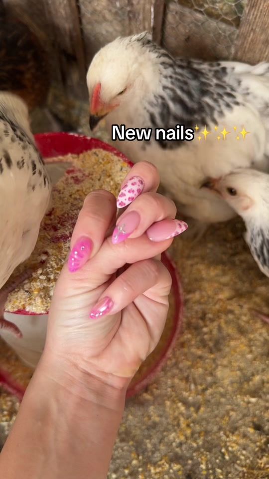 TikTok video thumbnail by fhuzsy.tth
