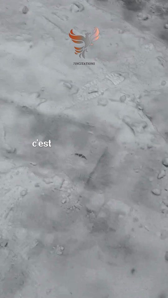 TikTok video thumbnail by minuitmoinsune1159