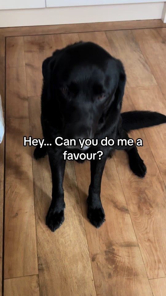 TikTok video thumbnail by rhiannon_and_steve