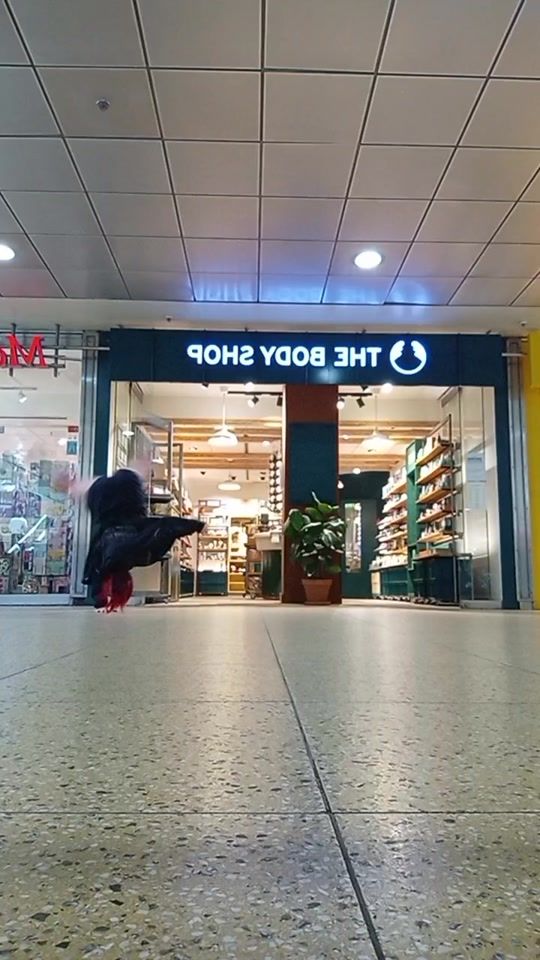 TikTok video thumbnail by e1998eule