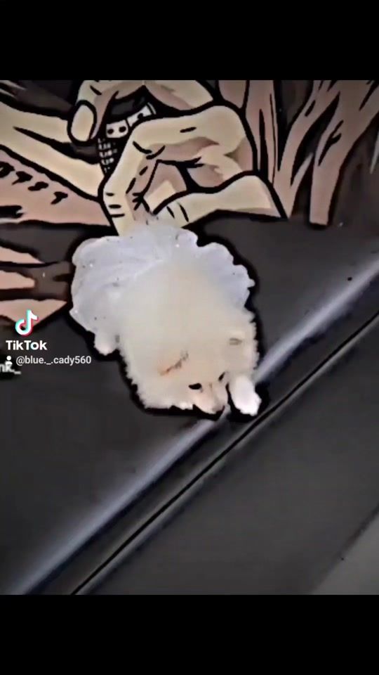 TikTok video thumbnail by blue._.cady560