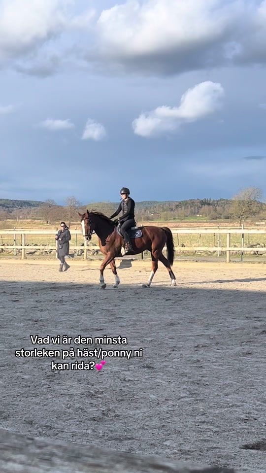 TikTok video thumbnail by tove.equi
