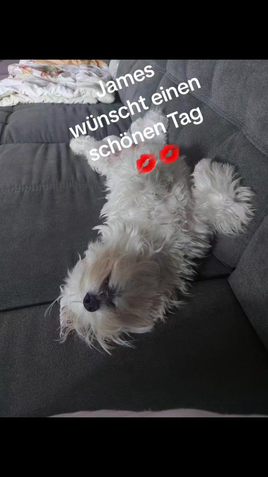 TikTok video thumbnail by angelikaeichstead
