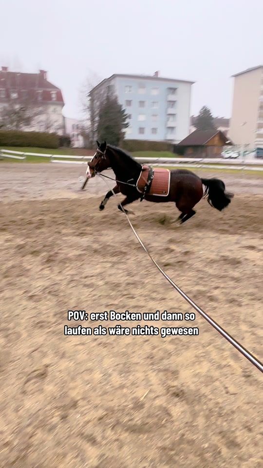 TikTok video thumbnail by about.carino
