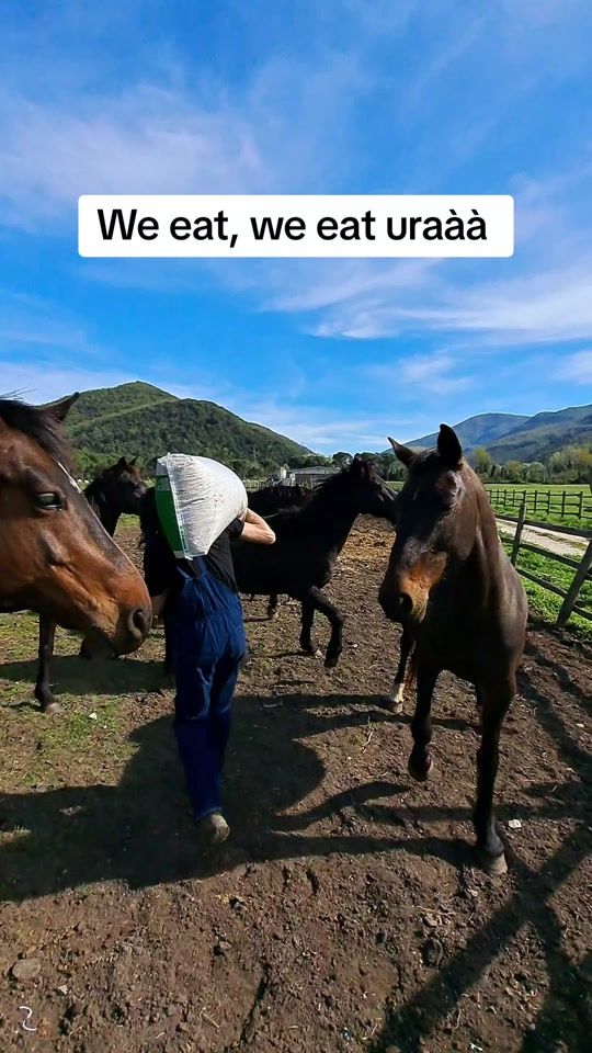 TikTok video thumbnail by ilviandante