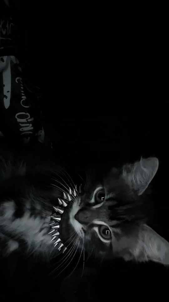 TikTok video thumbnail by teeth.iez