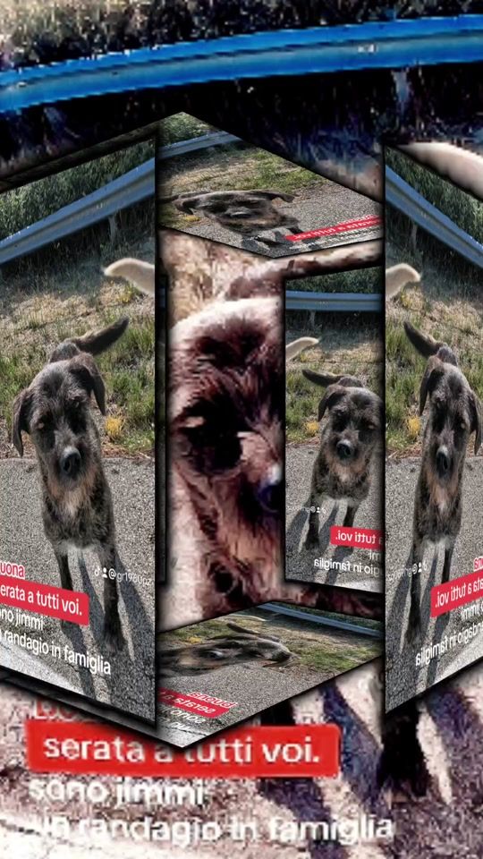 TikTok video thumbnail by gr1960pz