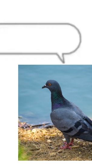 TikTok video thumbnail by beie73bdhdbw