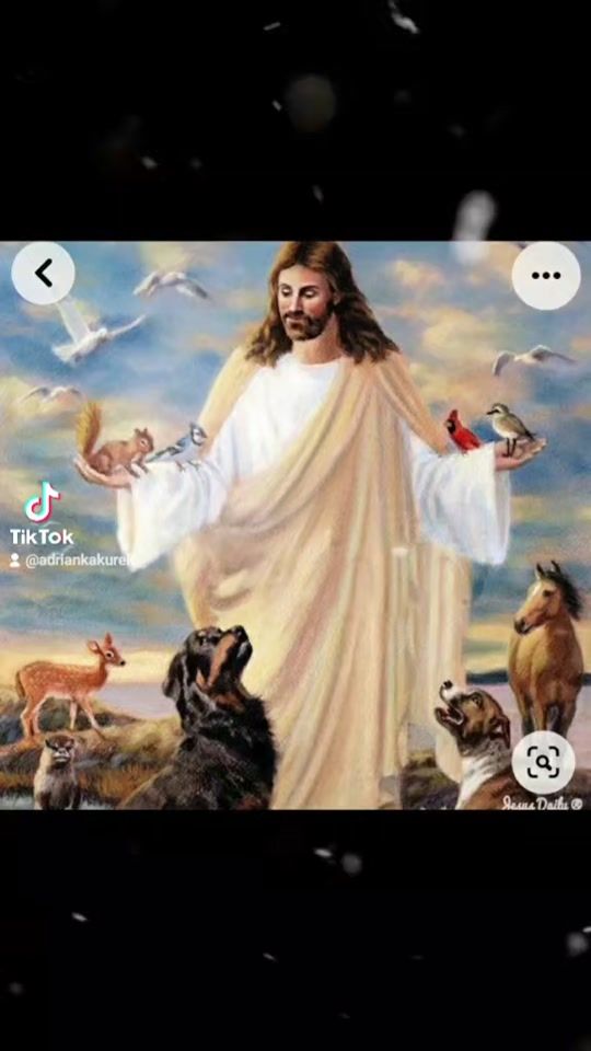 TikTok video thumbnail by adriankakurek