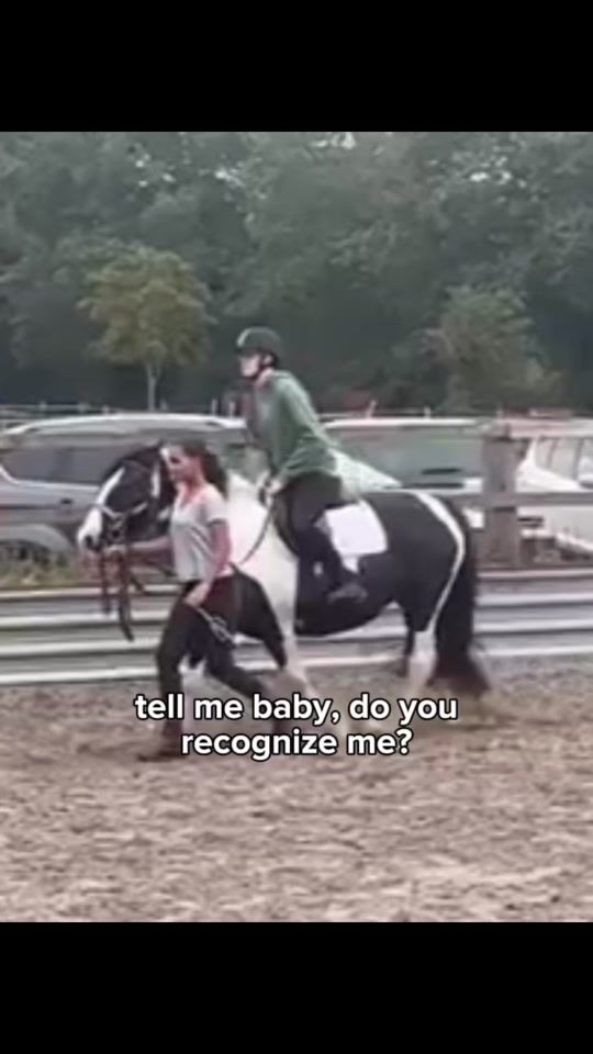 TikTok video thumbnail by eqpippa