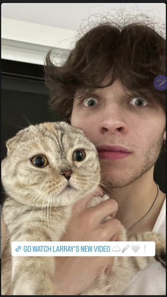 TikTok video thumbnail by sturniolospider