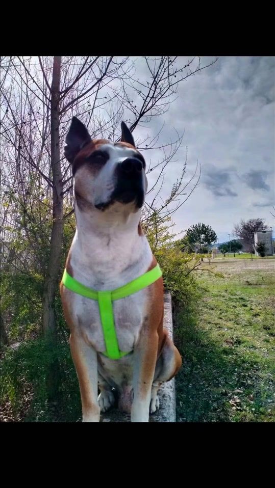 TikTok video thumbnail by mirco6570