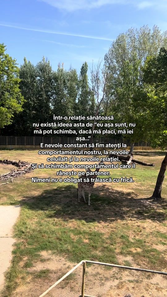 TikTok video thumbnail by madalin.andrei1