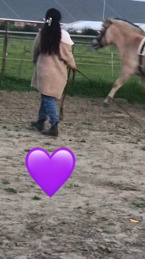 TikTok video thumbnail by fenniedefjord