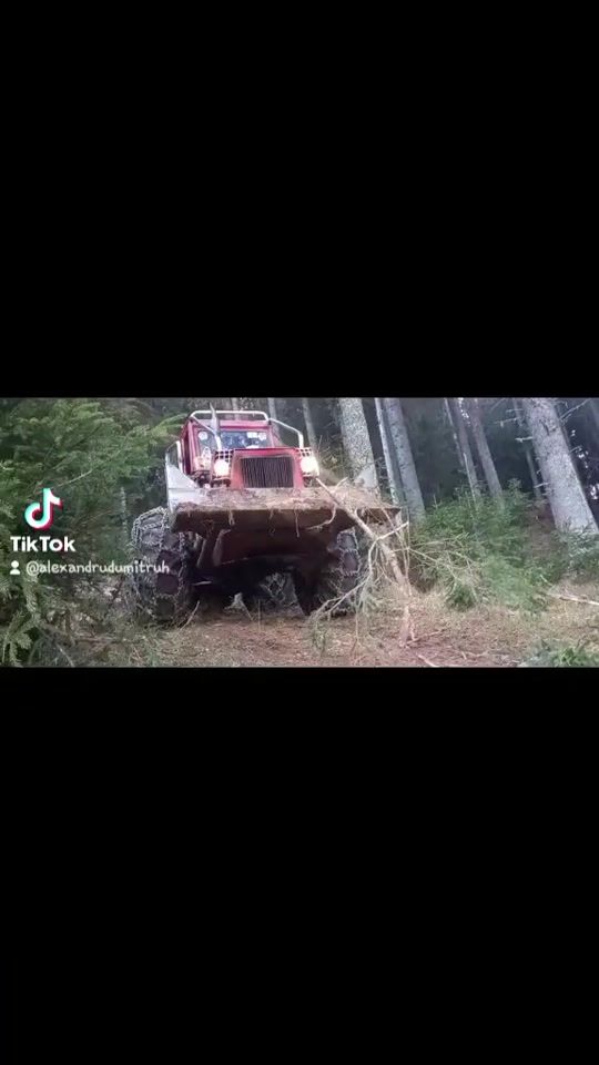 TikTok video thumbnail by alexandrudumitruh