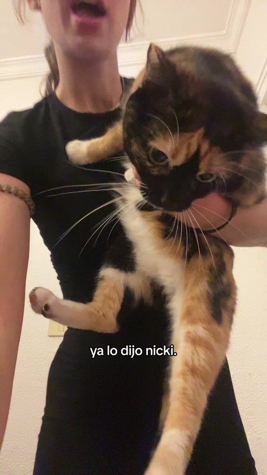 TikTok video thumbnail by crostono2